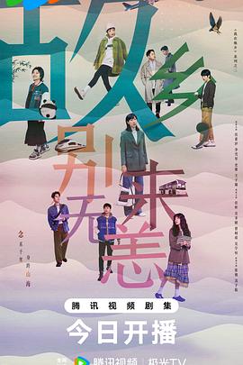 芜湖网络seo优化公司